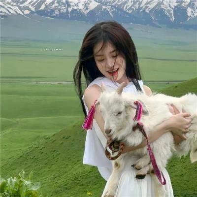 历史的总和海报