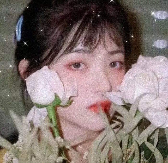 锁麟囊海报