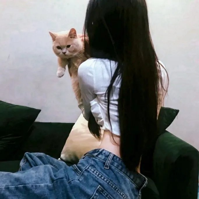 寻找斯蒂夫·麦昆海报