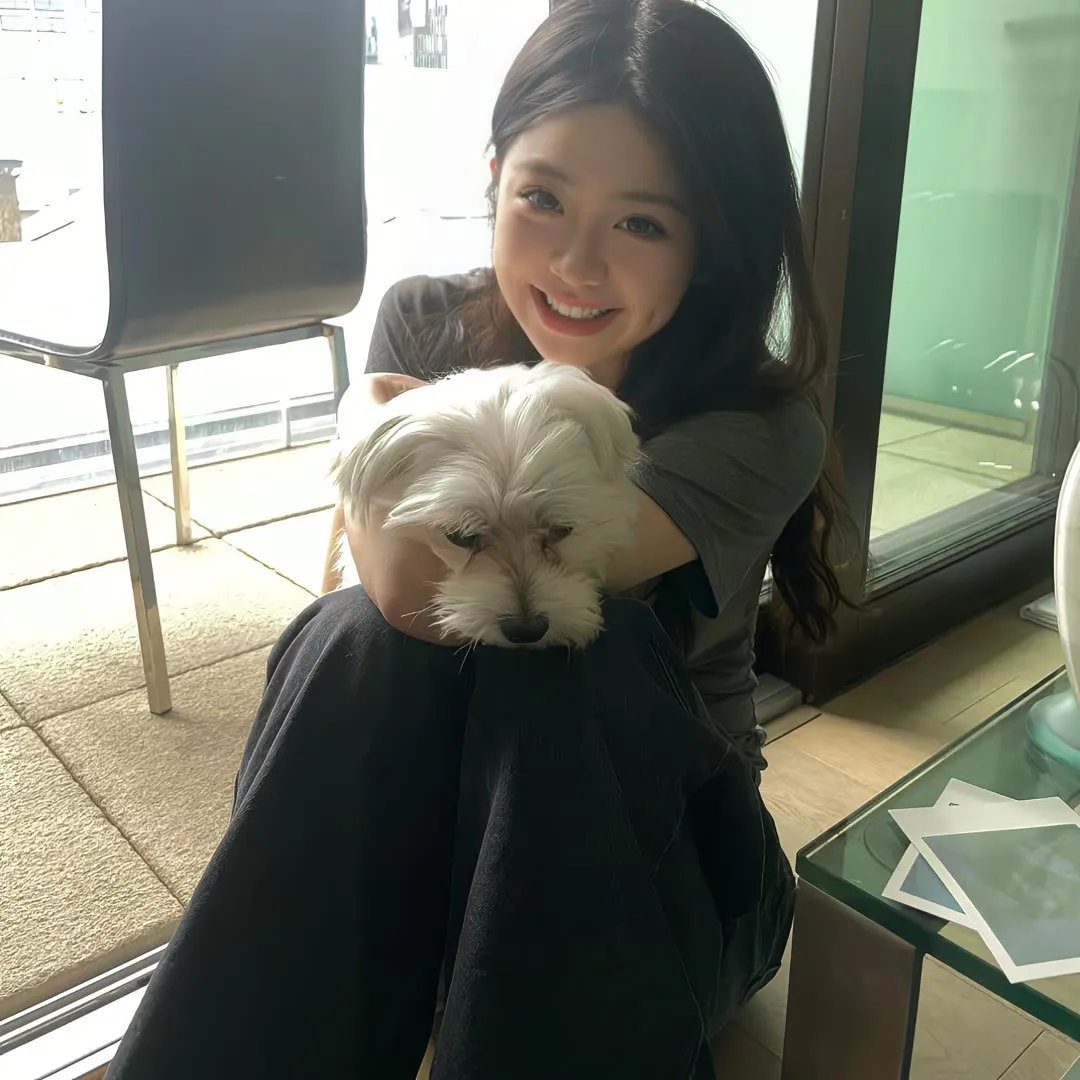 芙蓉仙子海报